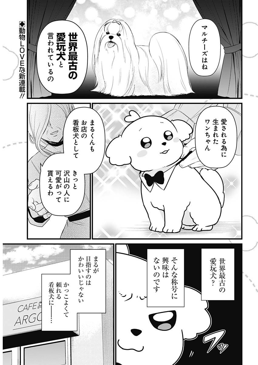 Maru-kun - Hataraku Maltese - Chapter 01 - Page 2