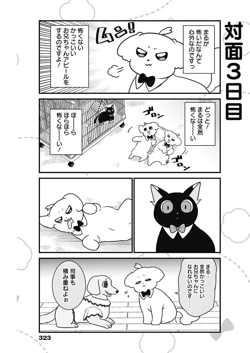 Maru-kun - Hataraku Maltese - Chapter 28 - Page 5