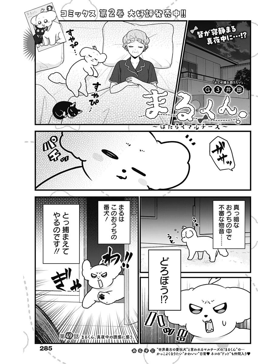 Maru-kun - Hataraku Maltese - Chapter 49 - Page 1