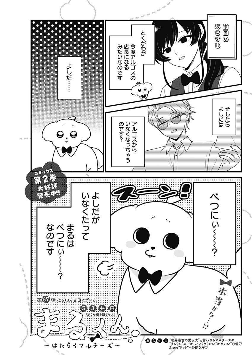 Maru-kun - Hataraku Maltese - Chapter 67 - Page 1